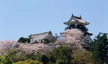 Kochi Castle, Kochi