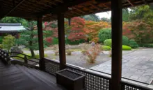 Covered wooden platform looking out to a paved garden