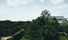 View looking to Nagoya Castle