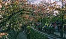 Philosophers Path in Autumn