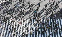 Shibuya crossing