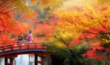 Autumn in Japan