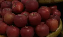 Aomori apples