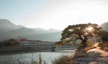 Vue sur la rivière traversant Yakushima