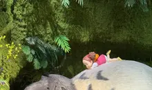Ghibli 3D Exhibition - Totoro