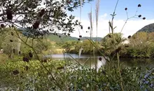 Hakone Botanical Garden of Wetlands