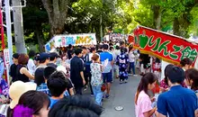 Okazaki Fireworks Festival.