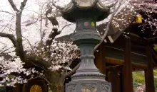 Le sanctuaire Yasukuni-jinja à Tokyo se place dans un environnement consacré à l’Histoire de la guerre au Japon.