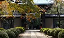 The Gotoku-ji temple has been built by using a cat that would have saved the life of a noble. Since the manekineko is one of Japan FIG.