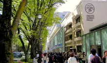 L'avenue Omotesando est devenue la vitrine des grandes marques internationales.