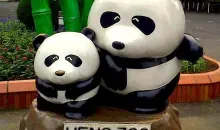 Lo Zoo di Ueno è stato il primo zoo in Giappone a ricevere una coppia di panda cinesi.