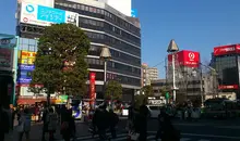 Sous ses airs de banlieue tranquille, le quartier de Kichijôji abrite le musée Ghibli et l’Inokashira Onshi Koen.