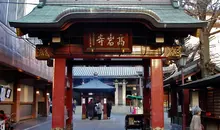 The Buddhist temple Koganji of the Soto Zen sect in the district of Sugamo in Tokyo is particularly famous for its statue of Jizo Togenuki.