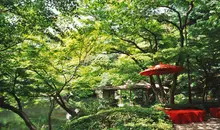 Le jardin Happô-en, dans l'arrondissement de Minato à Tokyo, offre un cadre à la fois bucolique et romantique pour les flâneries amoureuses