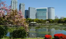 « Site historique spécial », le jardin Hama-Rikyu Onshi Teien est l’ancienne réserve de chasse des Tokugawa. 