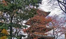 Al lado del Museo Nacional de Tokio, en Ueno, está el templo budista Kanei-ji, que tiene las tumbas de seis shogunes.