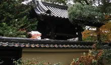 Temple Shoren-in