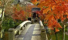 Puente de piedra en el Zenrin-ji.