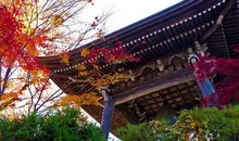 Circuit des temples de Higashiyama Teramachi