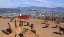 Vista de la ciudad desde el Parque de los monos.