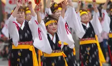 Flower Festival in Hiroshima