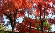 Temple Mitakidera