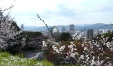 Vista de la ciudad de Hiroshima desde el parque Hijiyama-Koen.