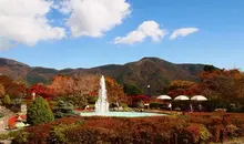 Hakone Gôra Kouen