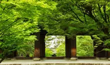 Entrada al templo Nanzenji.