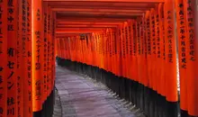 Torii of Fushimi Inari Taisha