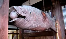 Un pesce di legno al tempio Manpukuji (Kyoto).