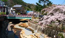 Los cerezos del onsen Arima.