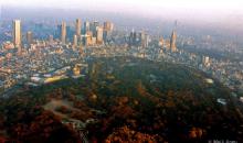 Avec ses 70 hectares, le parc Yoyogi est le poumon vert de Tokyo.