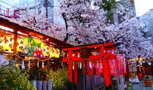 El torii del santuario Ohatsu Tenjin.