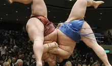 The sumo wrestling can be staggering.