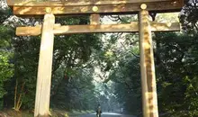 Torii di Meiji Jingu