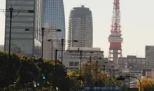 Few running around the Imperial Palace, Tokyo Tower with a backdrop.