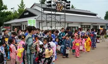 Children, adults, teen, 70% of visitors to Himeji Yukata Matsuri wear a yukata.