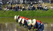 Otaue Festival