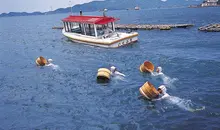 Ama : les plongeuses traditionnelles de Toba (Ise), spécialistes de la pêche aux huîtres.