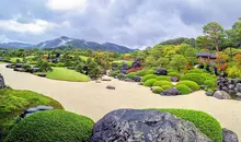 Le jardin des pierres et de pins