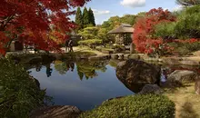 Le Kôko-en à l'automne, quand rougissent les feuilles d'érables.