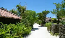 Traditional houses on the island of Taketomi