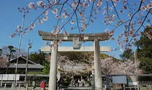 Le torii du sanctuaire de Terumo