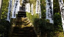 Les marches en mousse qui montent au Sugimoto-dera