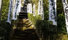 Les marches en mousse qui montent au Sugimoto-dera