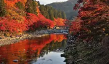 La impresionante vista del puente Taigetsukyo y los arces de Korankei.