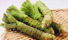 Des racines de wasabi