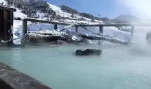 Le Gokurakuyu Huyu de Manza Onsen.