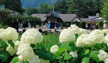 Les michi no eki sont souvent arborées et garnies de fleurs.